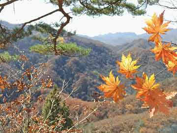 现在去重庆，重庆自助游