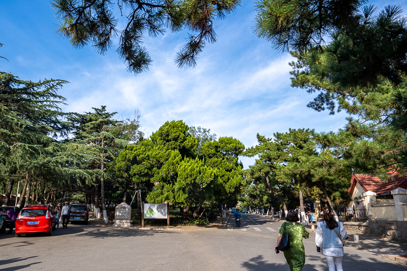 桂林阳朔导游美女(去桂林旅游住桂林还是阳朔)