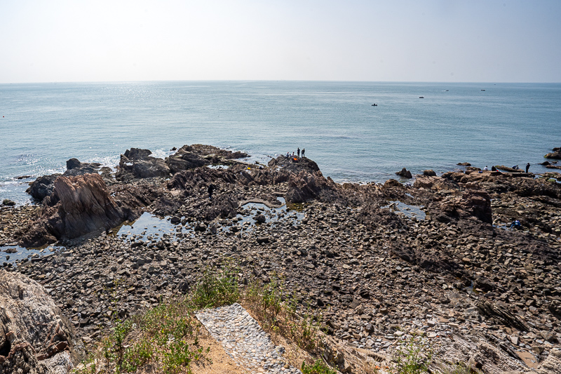 上海桂林公园导游讲解(上海必去的地方)