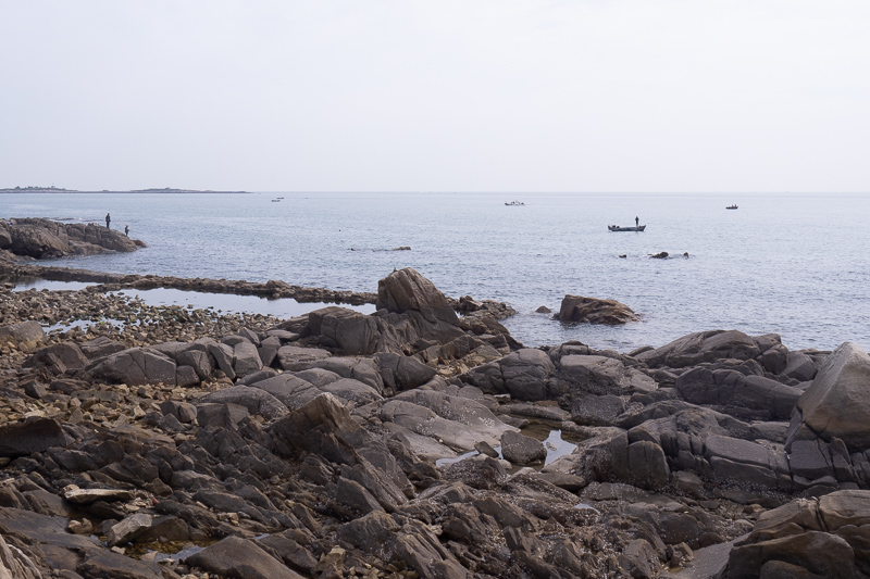 桂林阳朔旅游自由行导游(桂林阳朔当地导游推荐)