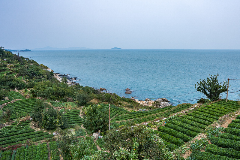 桂林旅游当地导游收费(桂林导游强制消费(旅游陷阱揭秘))