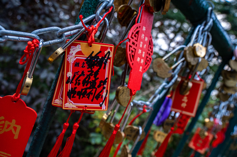 桂林旅游学院导游课程(桂林旅游学院有哪些特别的专业)