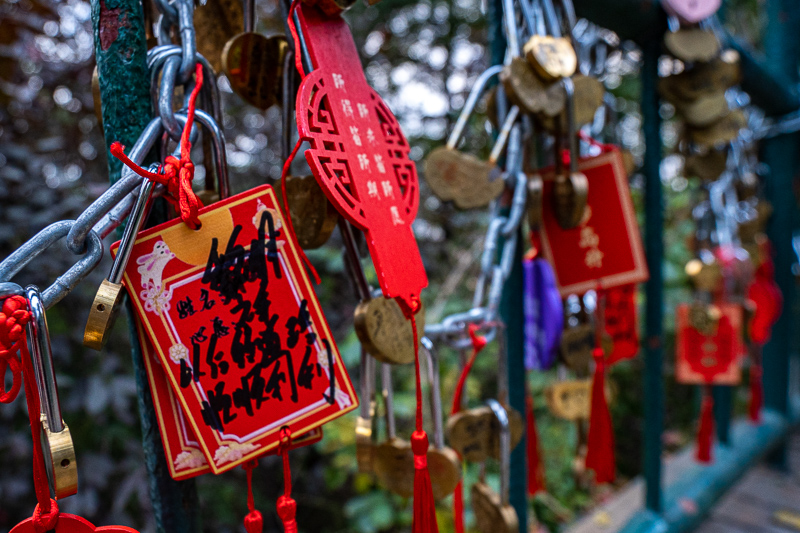 桂林当地导游为什么敢借游客钱(桂林导游强迫游客购物)