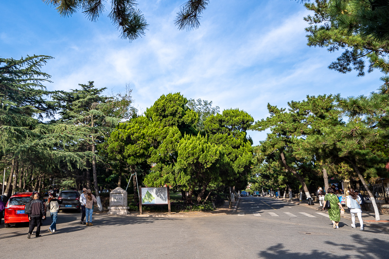 桂林千古情导游买便宜吗(桂林千古情门票多少钱)