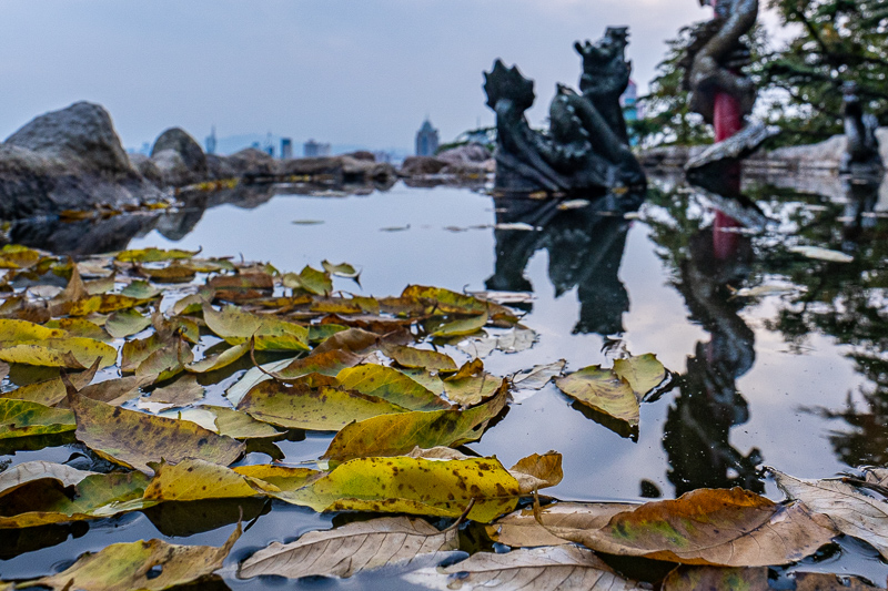 桂林全程女导游(桂林导游桂林旅游)