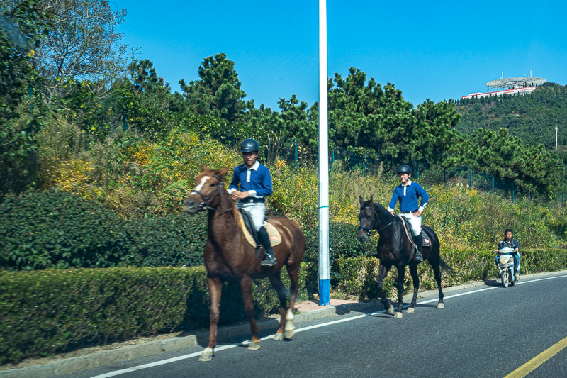 桂林导游帮邮东西可行吗(桂林旅游导游带去买玉)