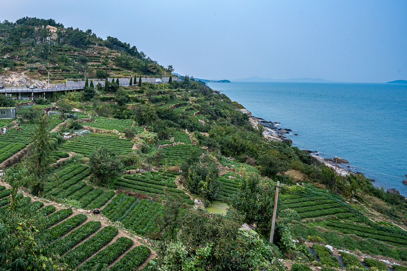 桂林导游带去哪里买东西(桂林旅游找本地导游)