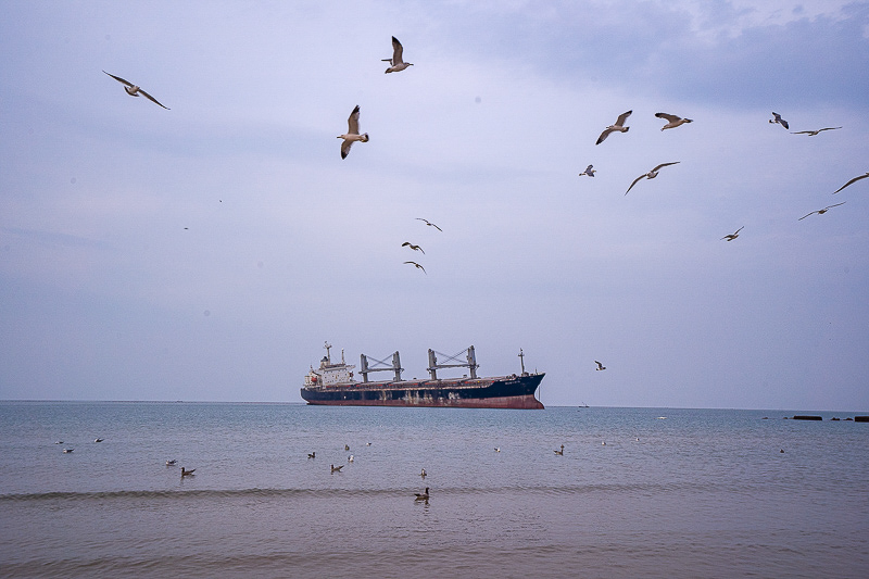 威海环海路介绍，威海环海路怎么走最好