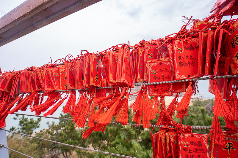 北京郊区可以带狗狗去的景点 威海一日游必去景点