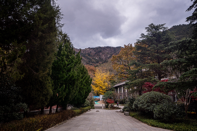 去威海玩是跟旅游团还是自驾游？去威海玩是跟旅游团还是自驾游合适