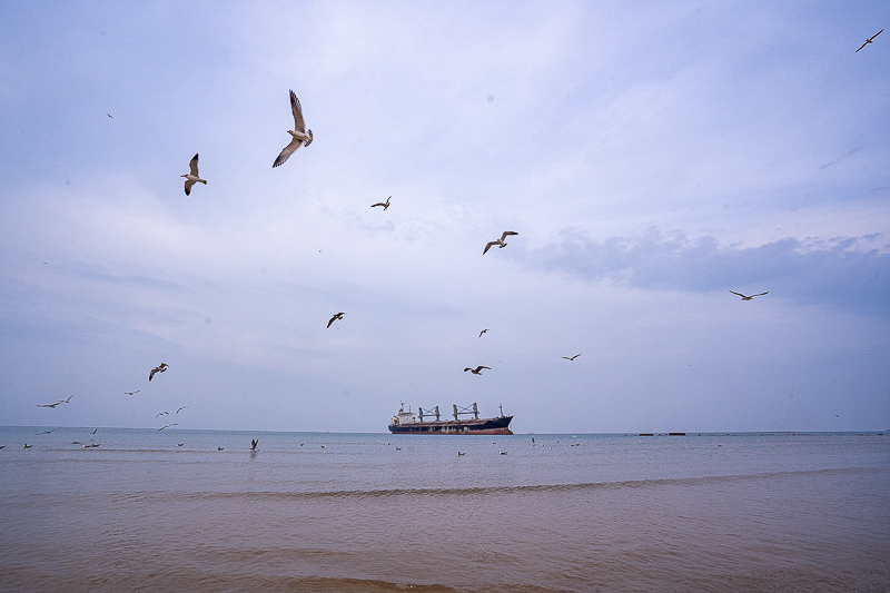 清松威海包车旅游(威海亲旅房车价格表)