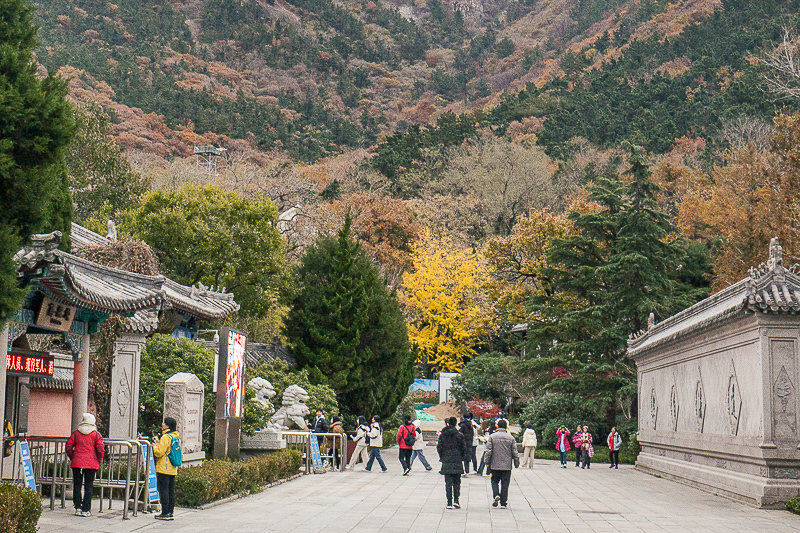 威海旅游建议包车游吗(威海跟团游)