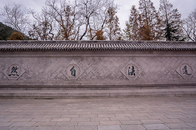 威海旅游租车还是包车(在威海租车自驾游的体验怎么样)