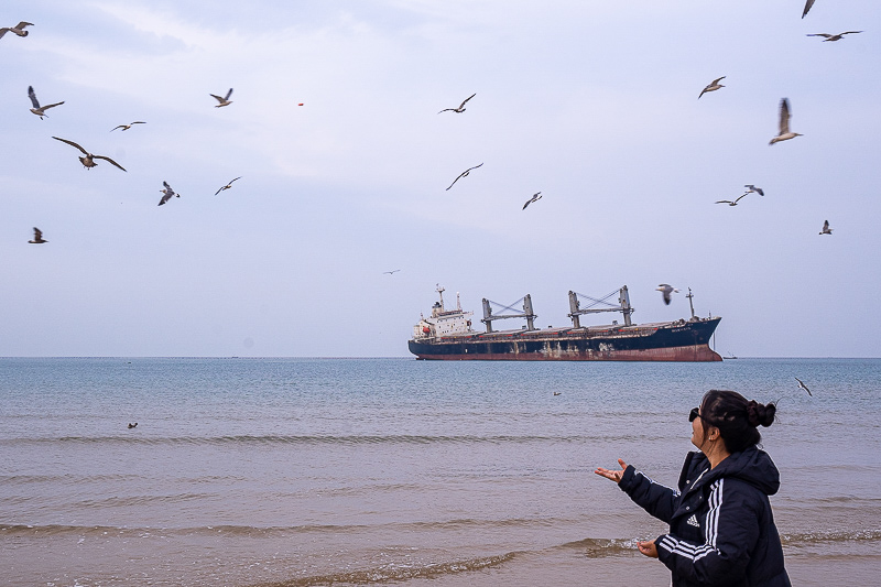 威海汽车站到烟台机场(威海汽车站到威海国际机场怎么走)