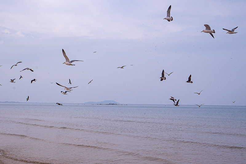 威海北站到威海振华(威海北火车站到振华商厦多少公里)