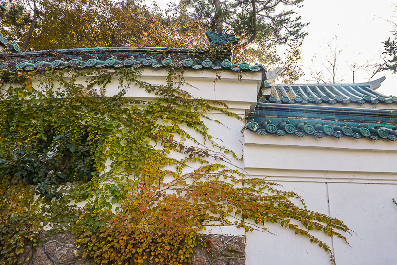 西安一日游旅游包车价格表(西安一日游旅游包车价格表图片)