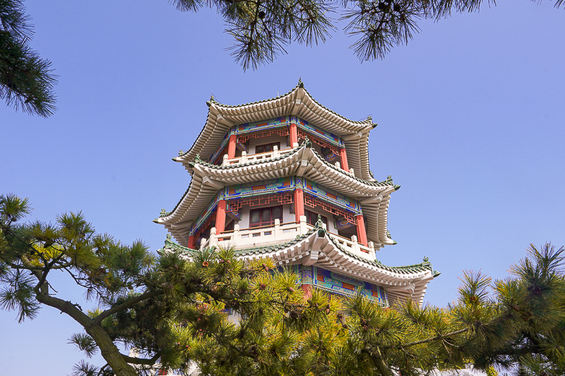 西安团建包车一日游多少钱(西安旅游包车一日游)