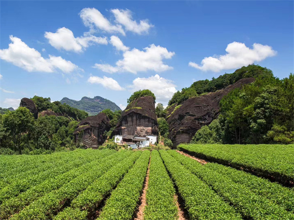 厦门过年包车，厦门旅游包车价格表