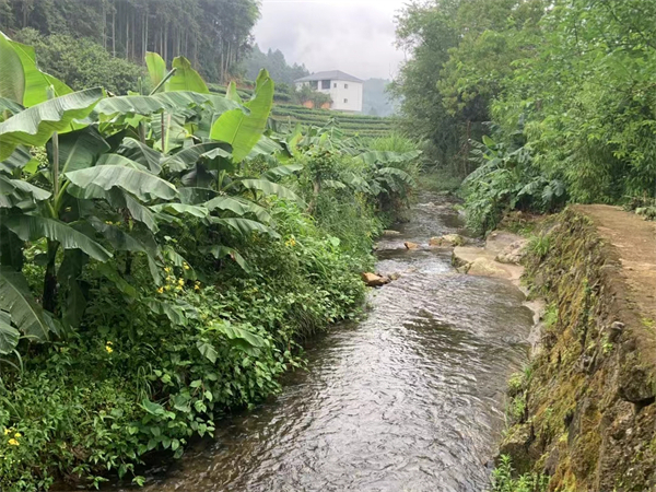 厦门旅游包车哪家便宜又好点的，厦门旅游包车价格表