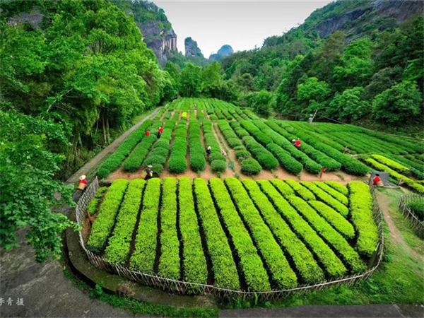 宁德到厦门漳州包车七座，漳州厦门包车电话