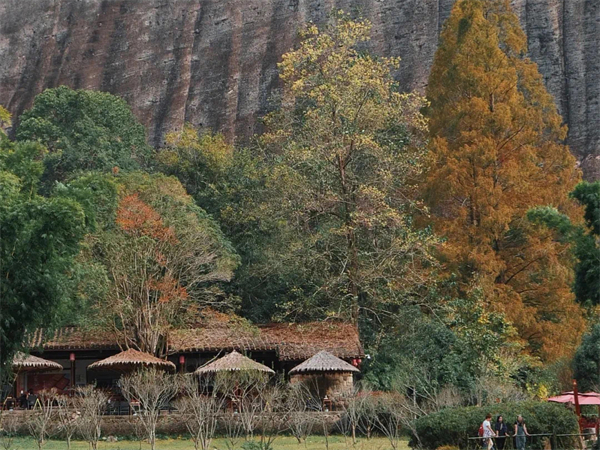 漳州包车厦门旅行攻略价格(漳州至厦门的士专线)