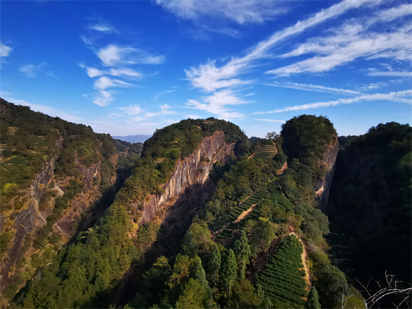 厦门当地包车电话多少号，厦门随缘的士电话最新