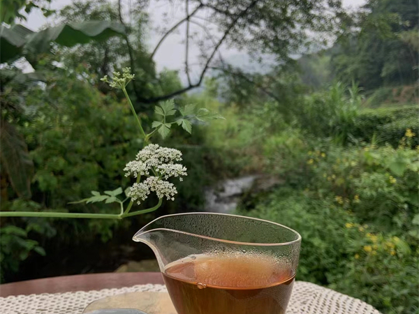 厦门包车哪个平台好一点(深圳包车平台哪个好)