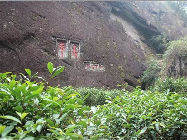 进客家土楼需要门票吗 深圳客家土楼的门票价格