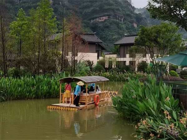 鼓浪屿土楼特色民宿价格，鼓浪屿岛内哪家民宿好