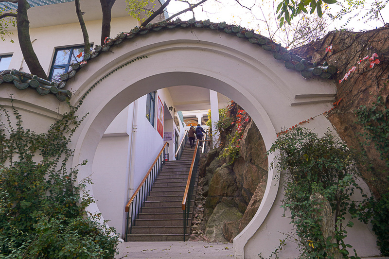 永定土楼旅游住宿到哪里(永定土楼怎么去最方便)