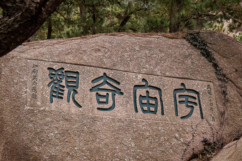 永定土楼古榕树有多少，永定土楼古榕树有多少年了