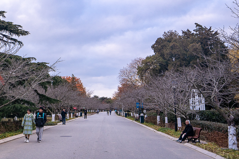 永定二宜楼土楼景点门票，福建永定土楼景区要钱吗