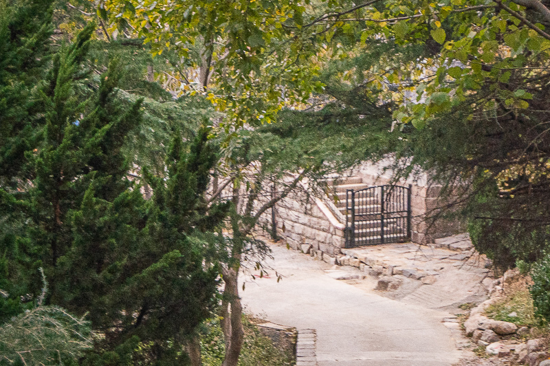 青岛百花苑旅游景点，青岛百花苑旅游景点有哪些