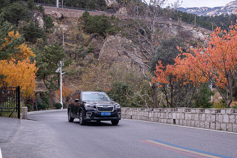 青岛抱团旅游？青岛抱团旅游攻略