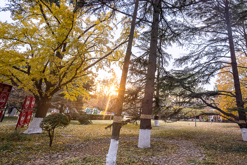 青岛世博园泰国景点，青岛世博园泰国景点图片