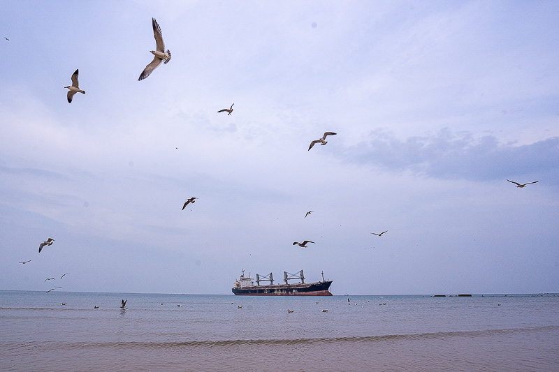 青岛重庆香港暑假旅游路线？青岛到重庆旅行团