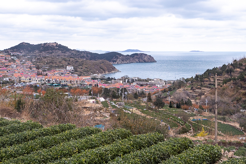 青岛旅游gonglve 青岛旅游攻略自由行三天