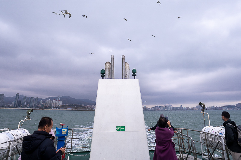 今年暑假青岛旅游业预测，青岛暑期旅游客流