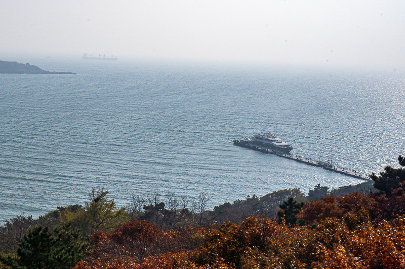 青岛哪个景点海鸥多？青岛哪个景点有海鸥