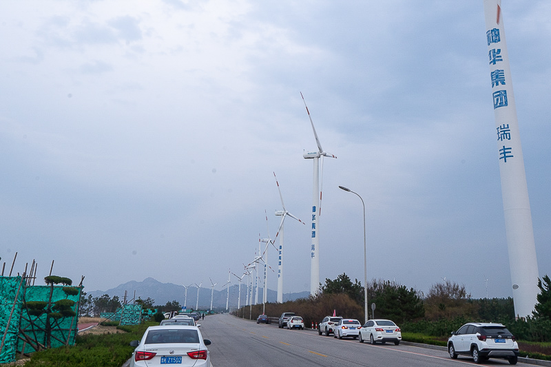 青岛到淮安一日游多少钱(青岛到淮安大巴车)