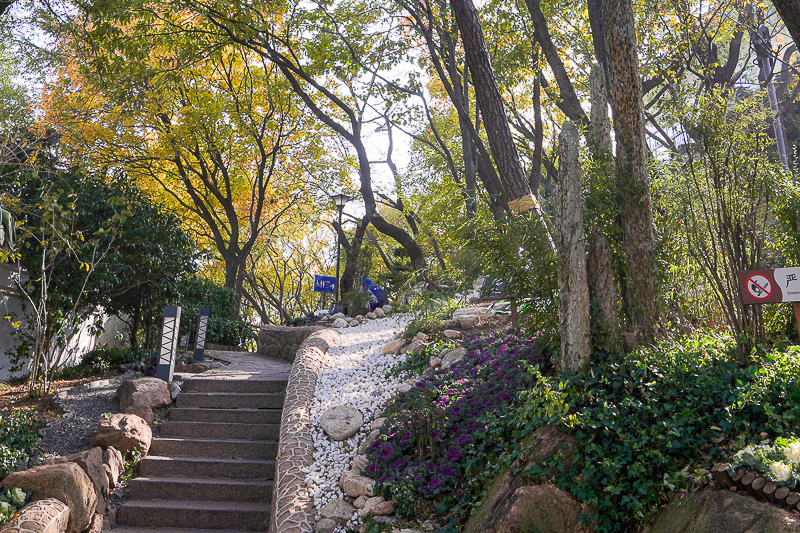 青岛各大景点春节门票 青岛2021春节景点