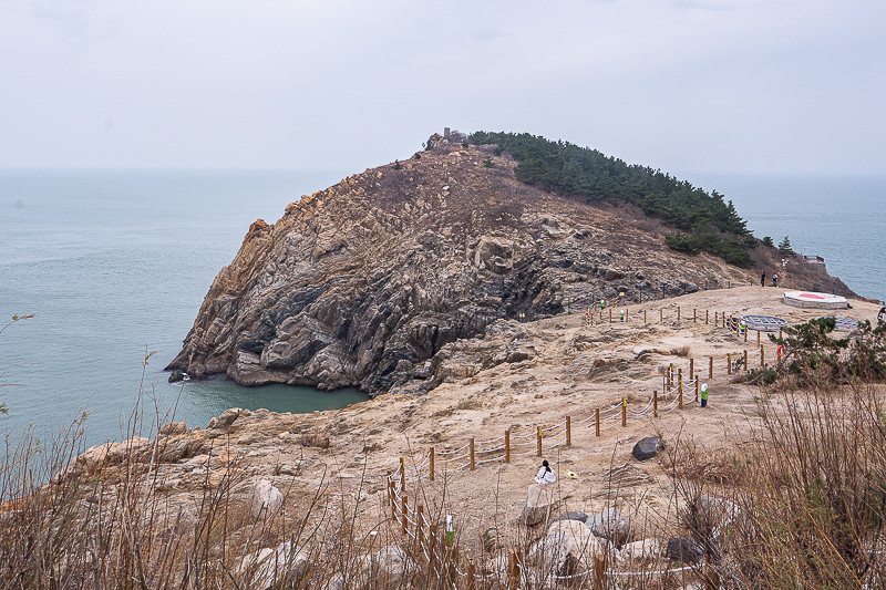 青岛室内景点免费(青岛室内景点免费开放)