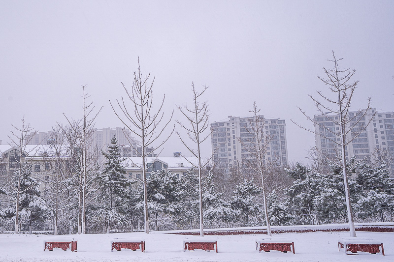 青岛市北区必去的景点 青岛市北区必去的景点有哪些