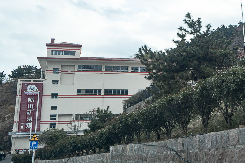 青岛元旦一日游免费景点(青岛元旦一日游免费景点推荐)