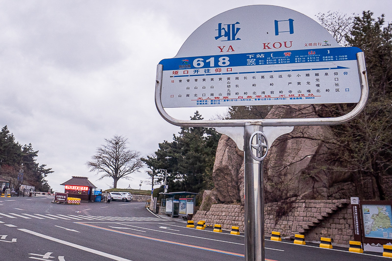 青岛路地旅游 青岛路景