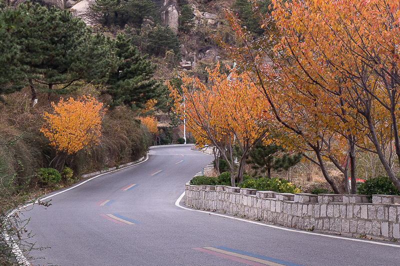 青岛旅游劣势 青岛旅游劣势有哪些